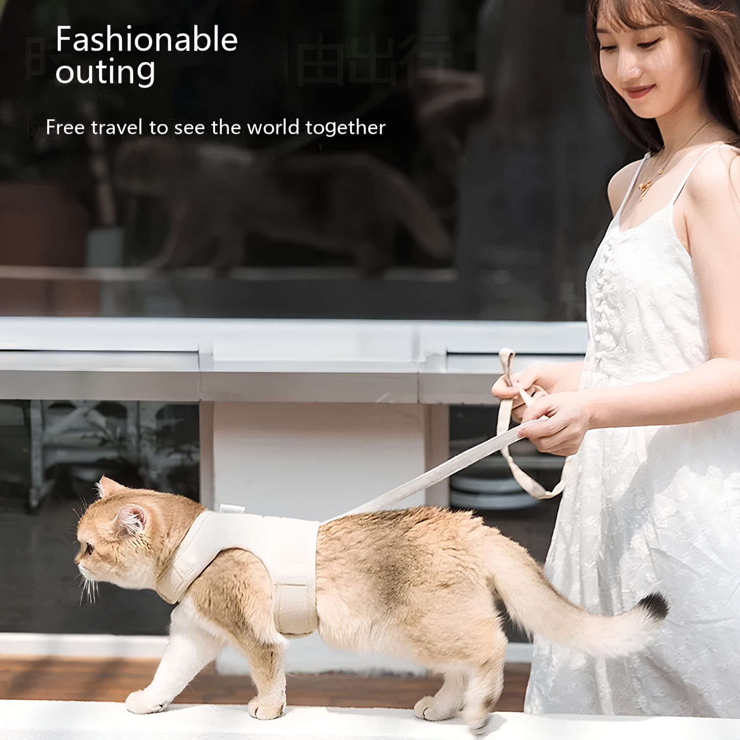 THORACIC HARNESS FOR CATS (5 Variants)