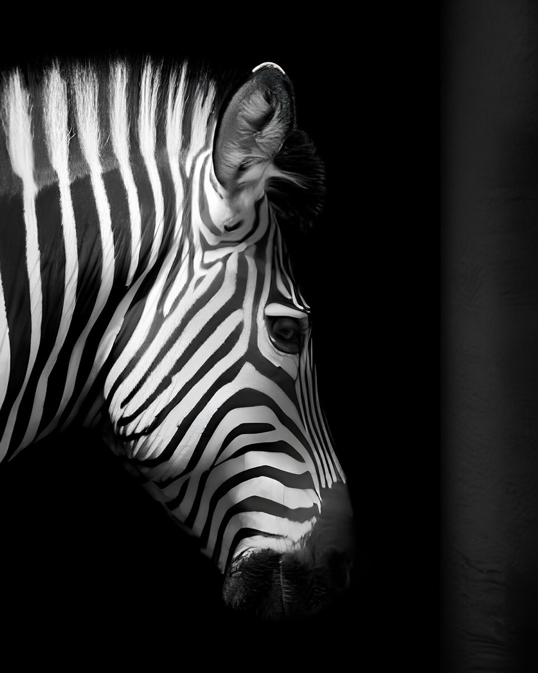 ABSTRACT PRINT ON CANVAS 'Zebra B/W'