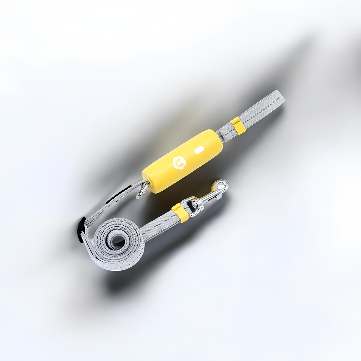 LEASH WITH SUPPORT HANDLE