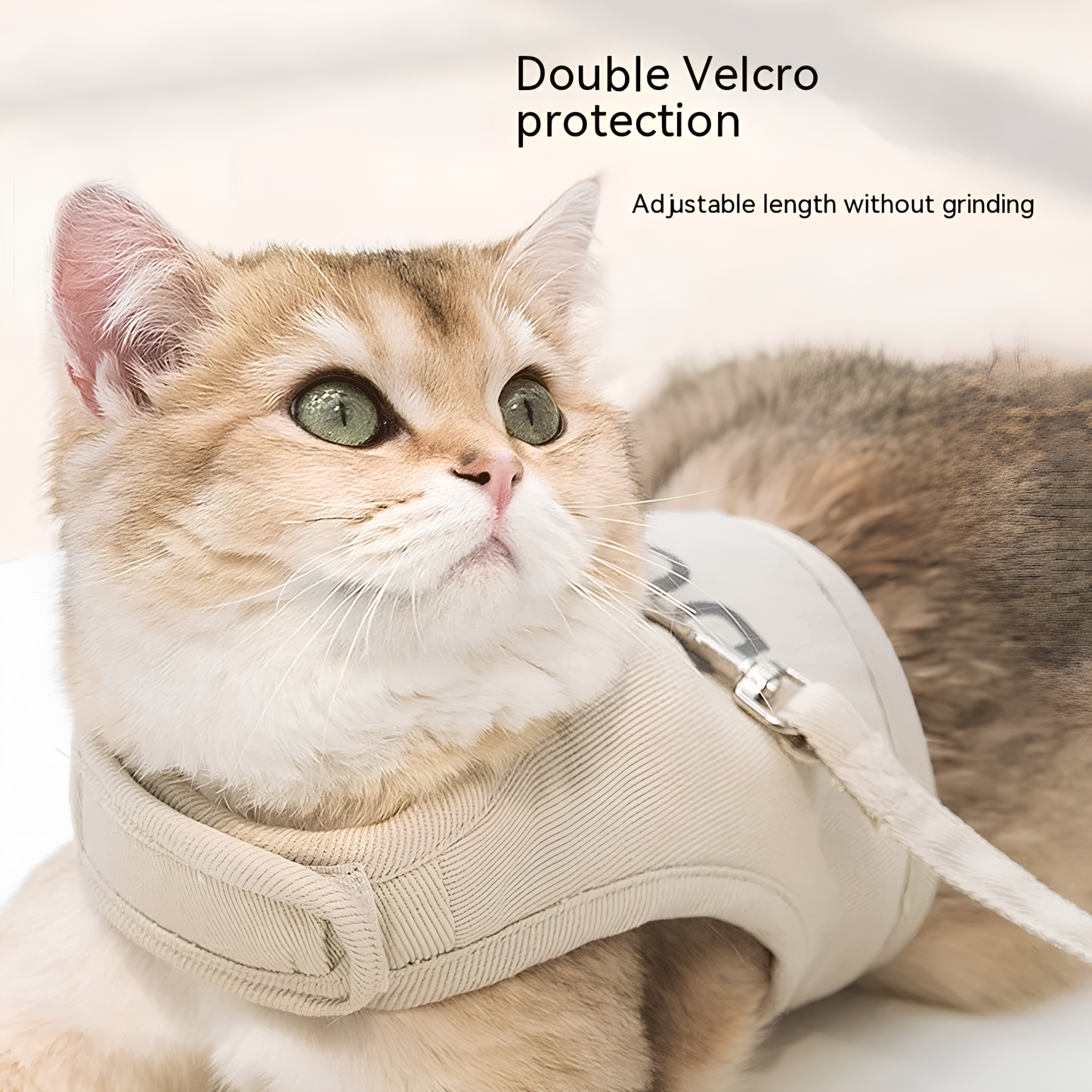 THORACIC HARNESS FOR CATS (5 Variants)