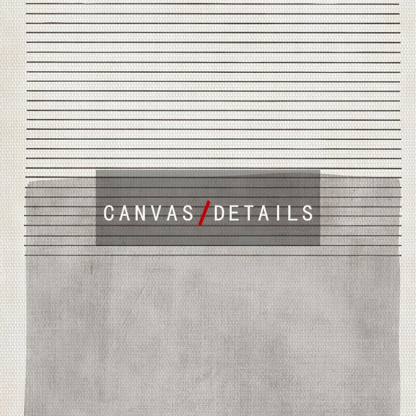 ABSTRACT PRINTS ON CANVAS (2 Variants)