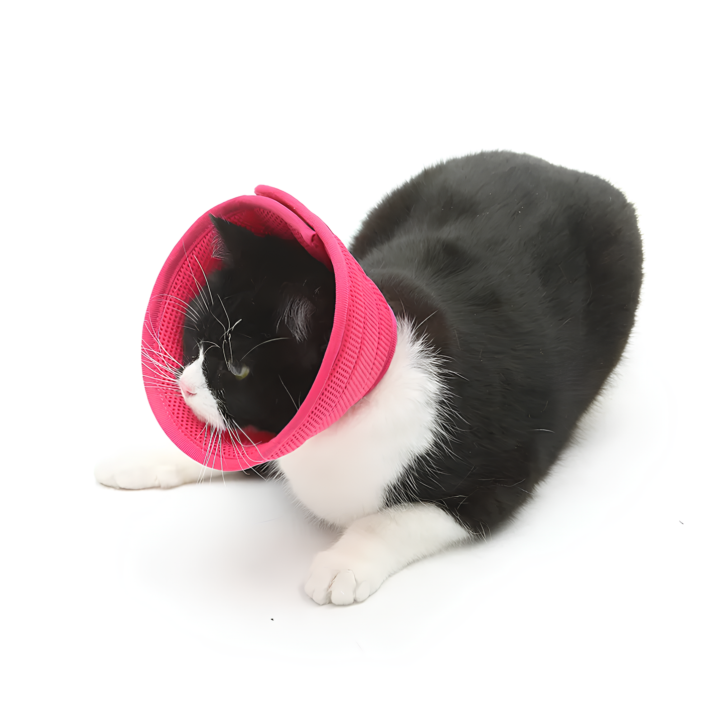 SOFT ANTI-BITE PROTECTIVE COLLAR FOR DOGS/CATS (4 Variants)
