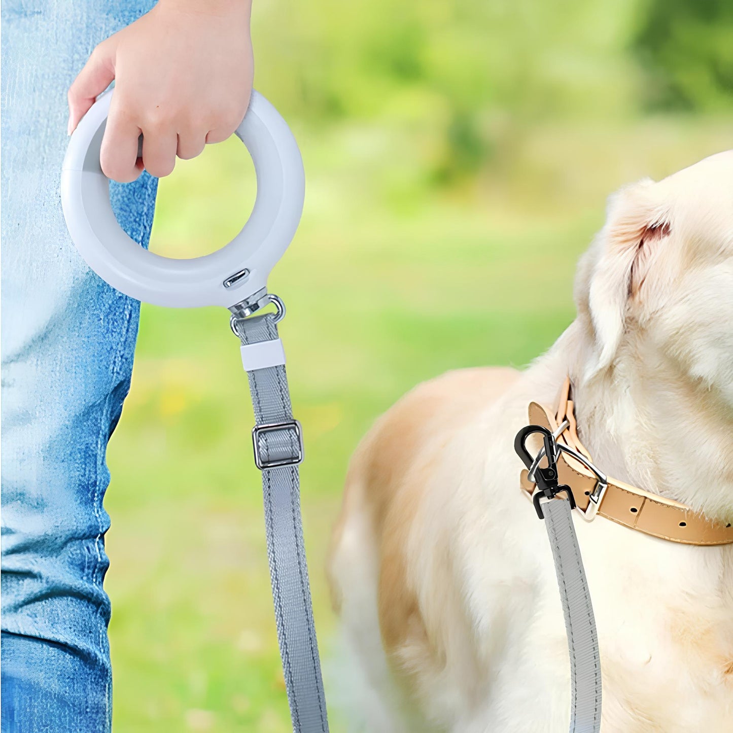 RETRACTABLE LEASH + LED LAMP (4 Variants)