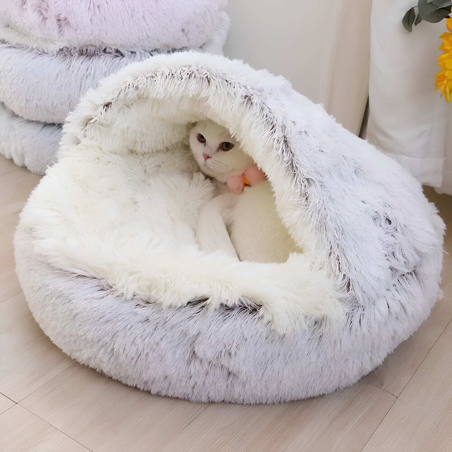 SEMI-CLOSED KENNEL (4 Variants)