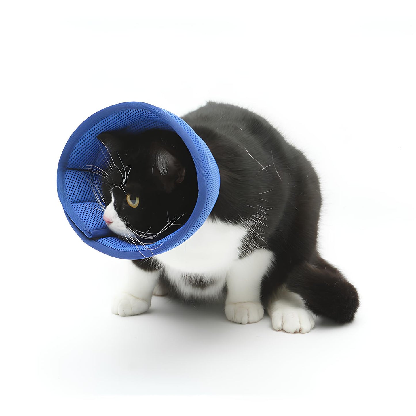 SOFT ANTI-BITE PROTECTIVE COLLAR FOR DOGS/CATS (4 Variants)