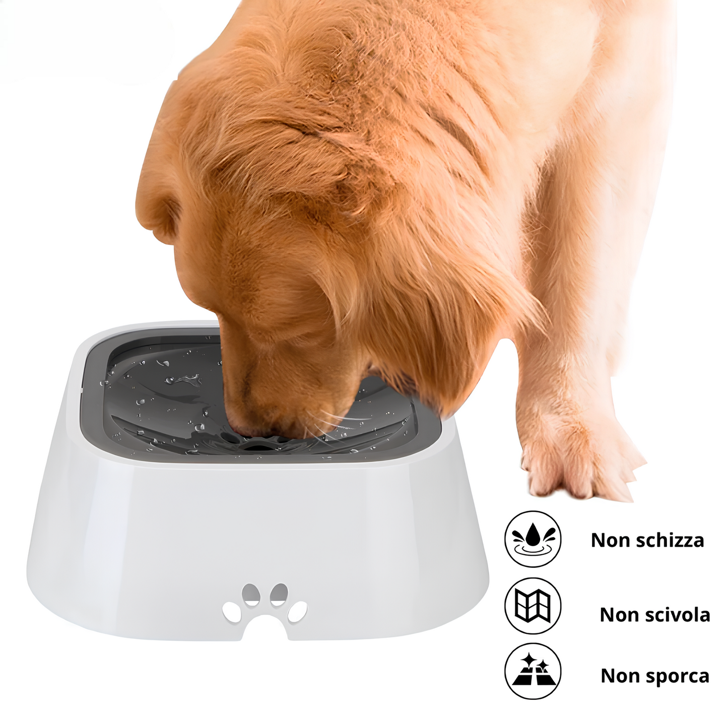 DISPENSER ANTI-GOCCIA (4 Varianti)