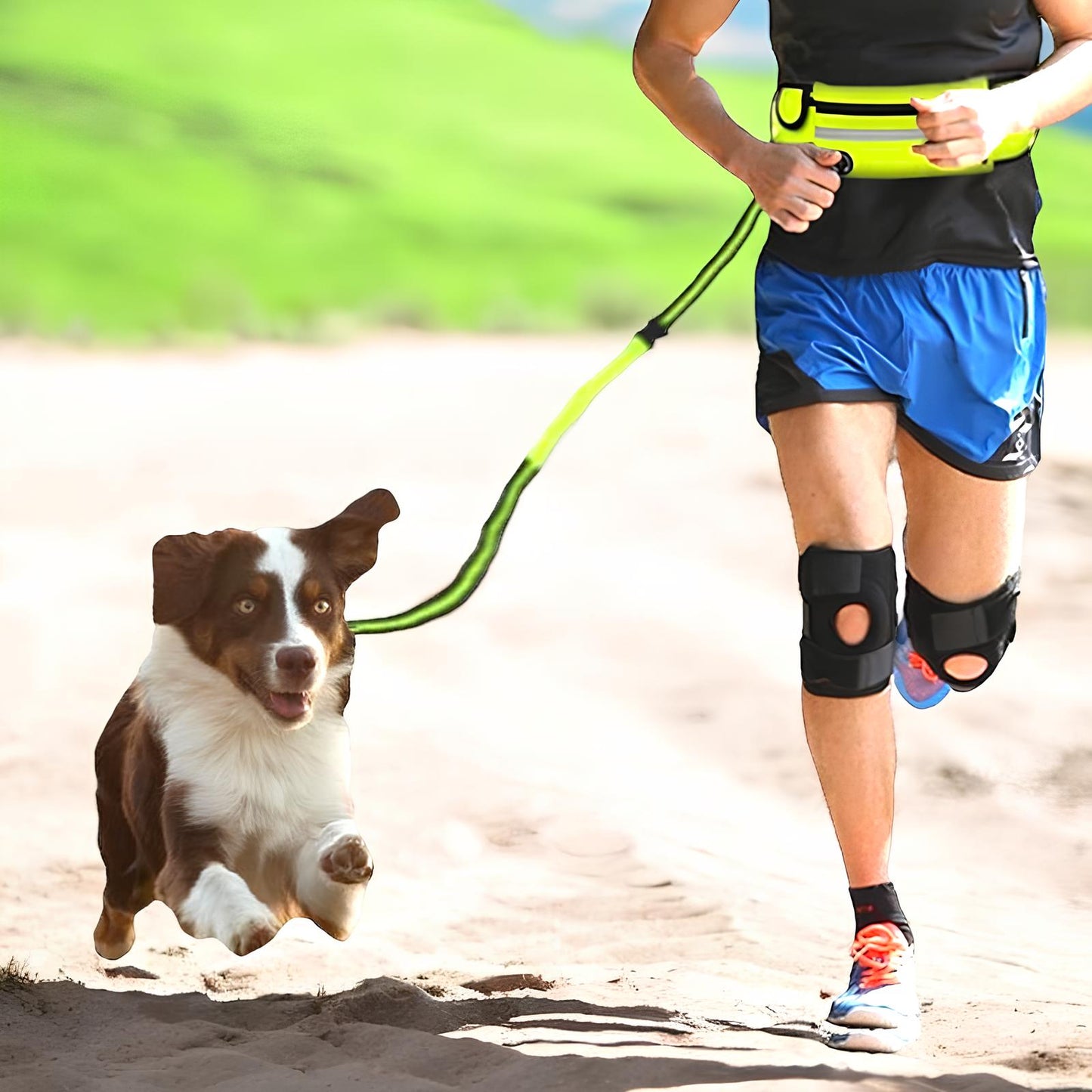HANDS FREE LEASH (5 Variants)