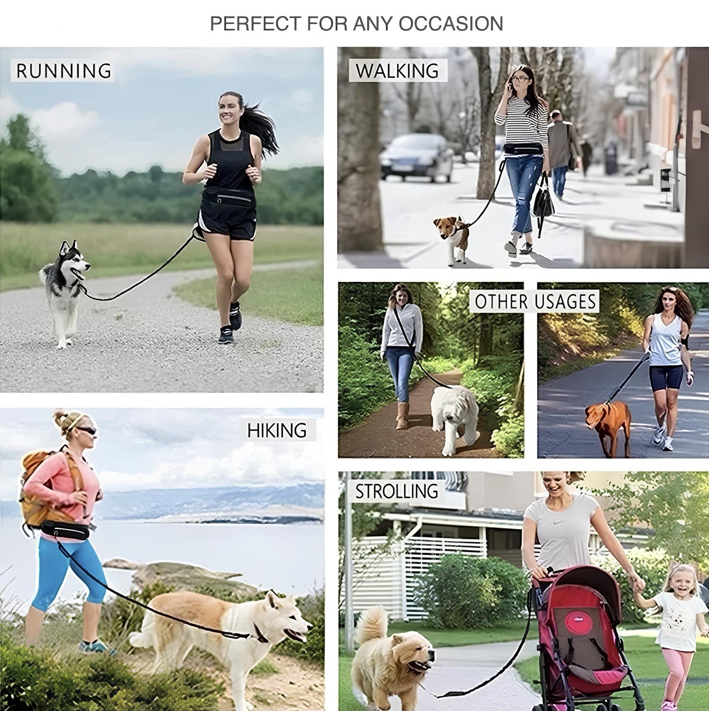 HANDS FREE LEASH (5 Variants)