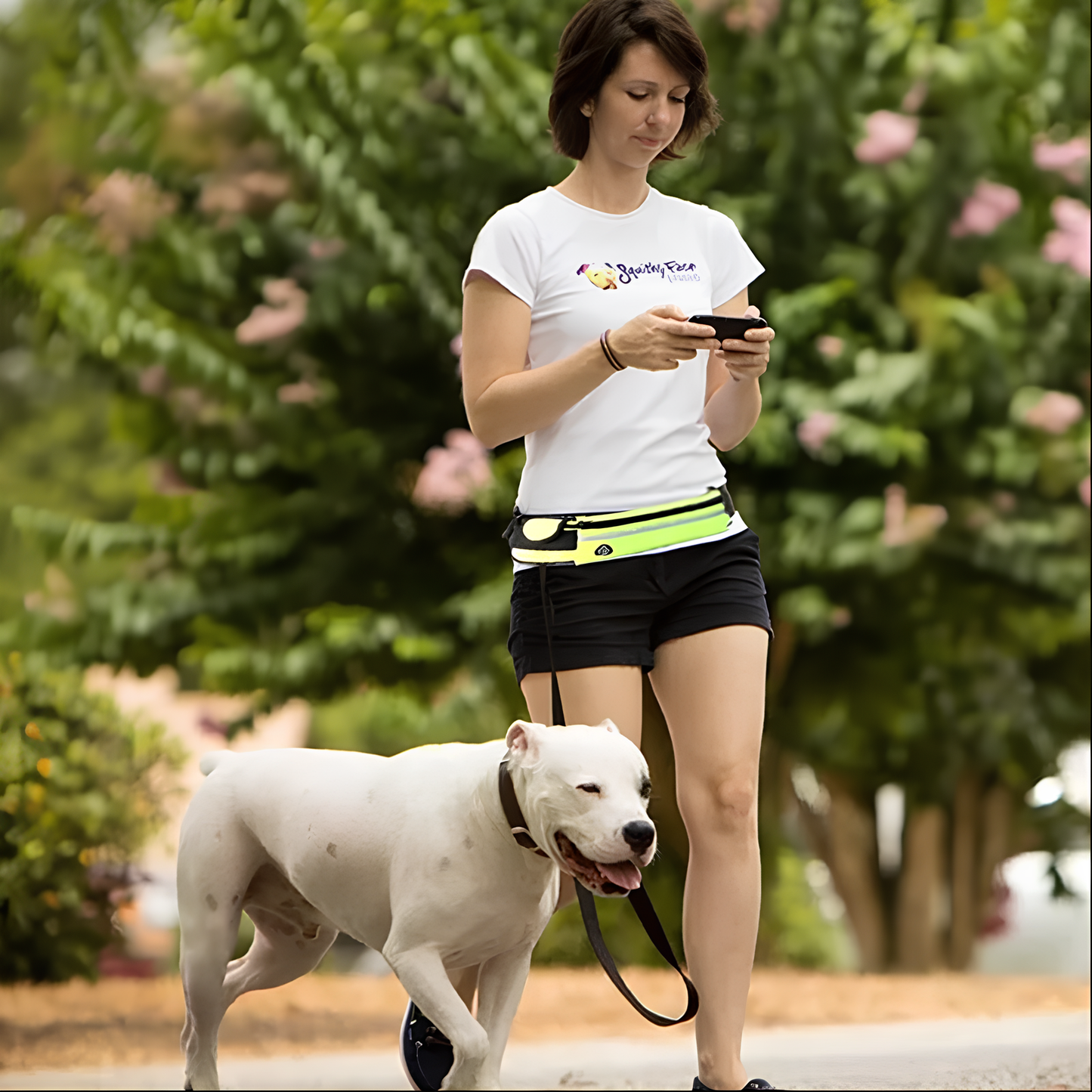 HANDS FREE LEASH (5 Variants)