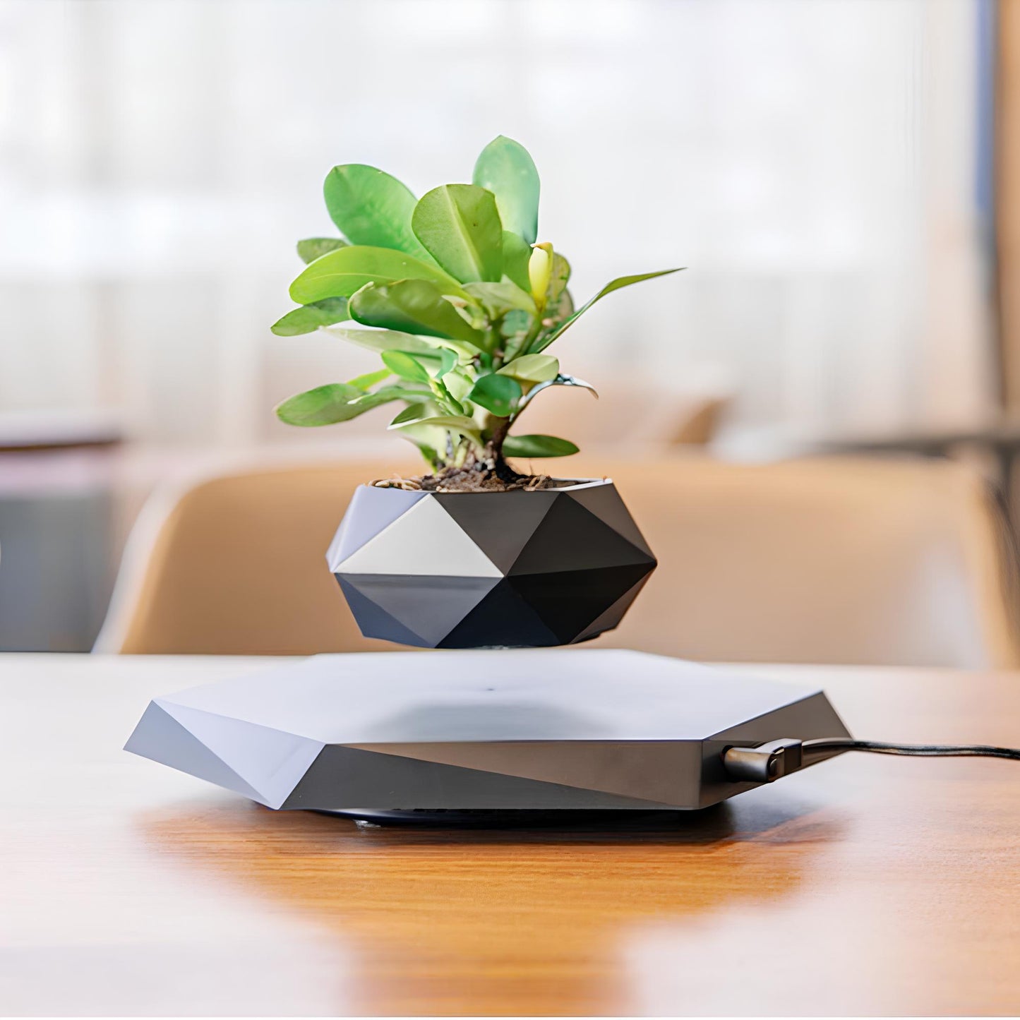 MAGNETIC LEVITATION MINI PLANTS STAND