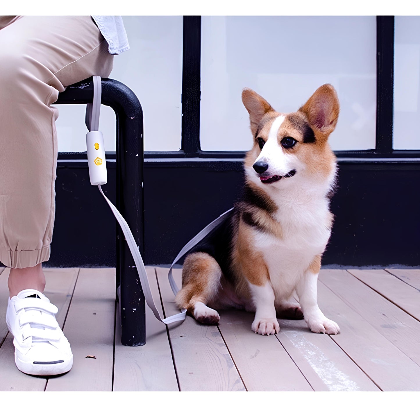 LEASH WITH SUPPORT HANDLE