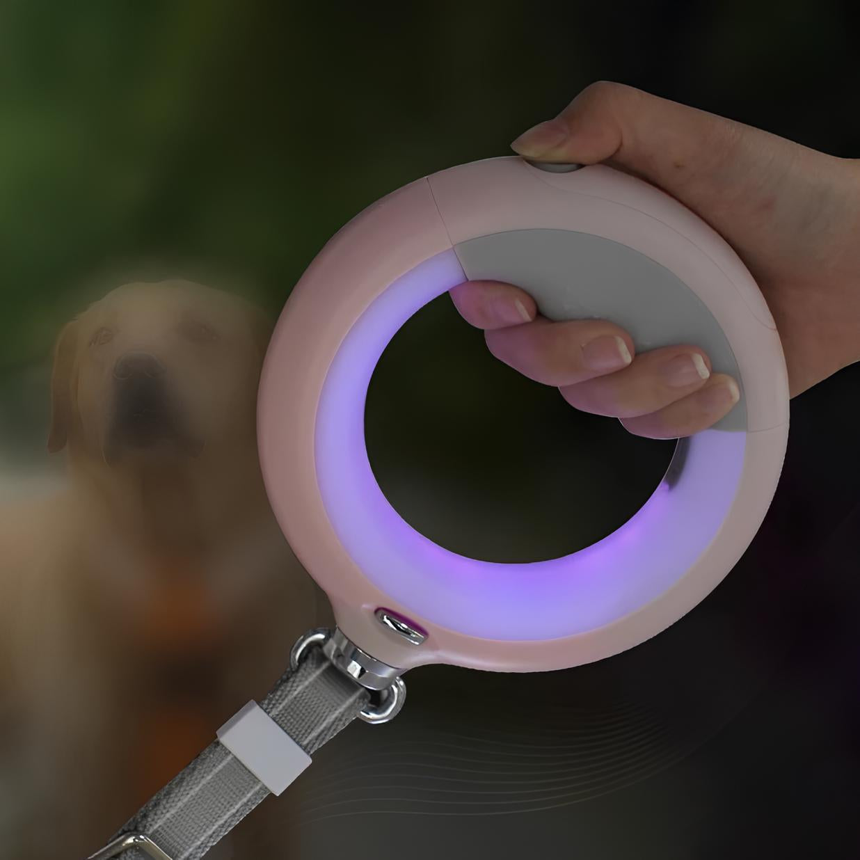 GUINZAGLIO RETRATTILE + LUCE LED (4 Varianti)
