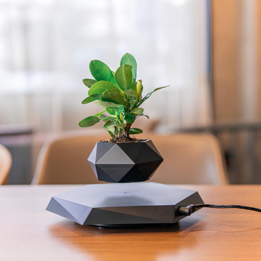MAGNETIC LEVITATION MINI PLANTS STAND
