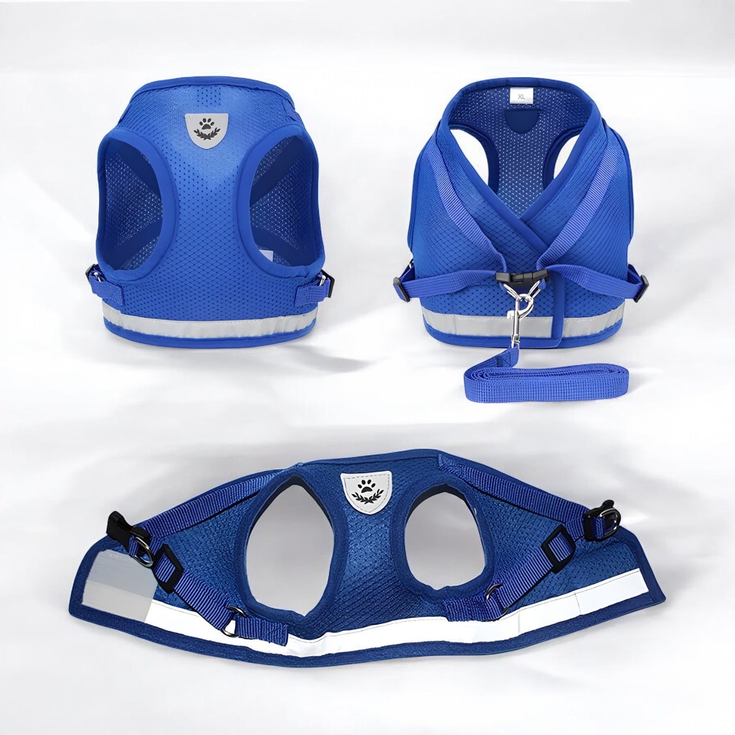 SET IMBRACATURA/GUINZAGLIO (4 Varianti)
