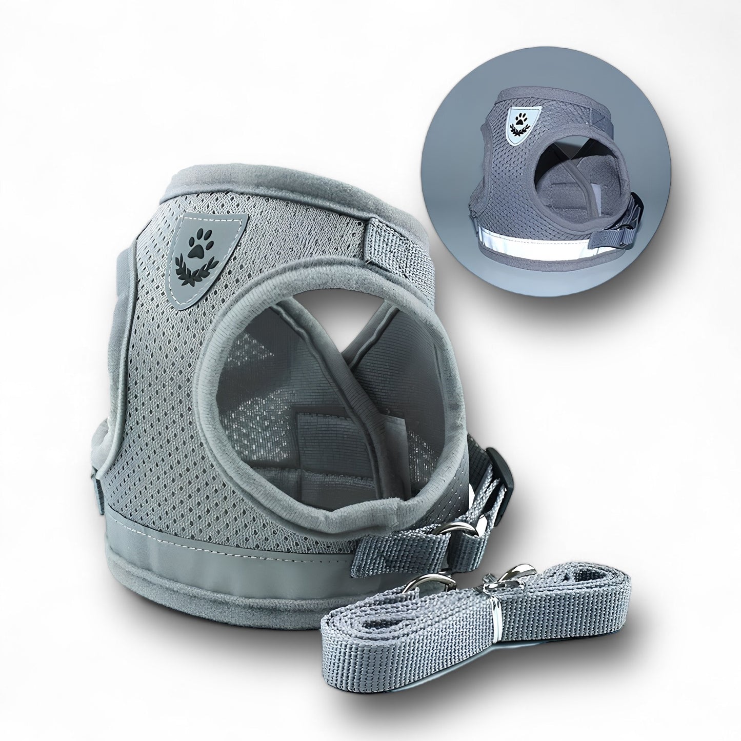 SET IMBRACATURA/GUINZAGLIO (4 Varianti)