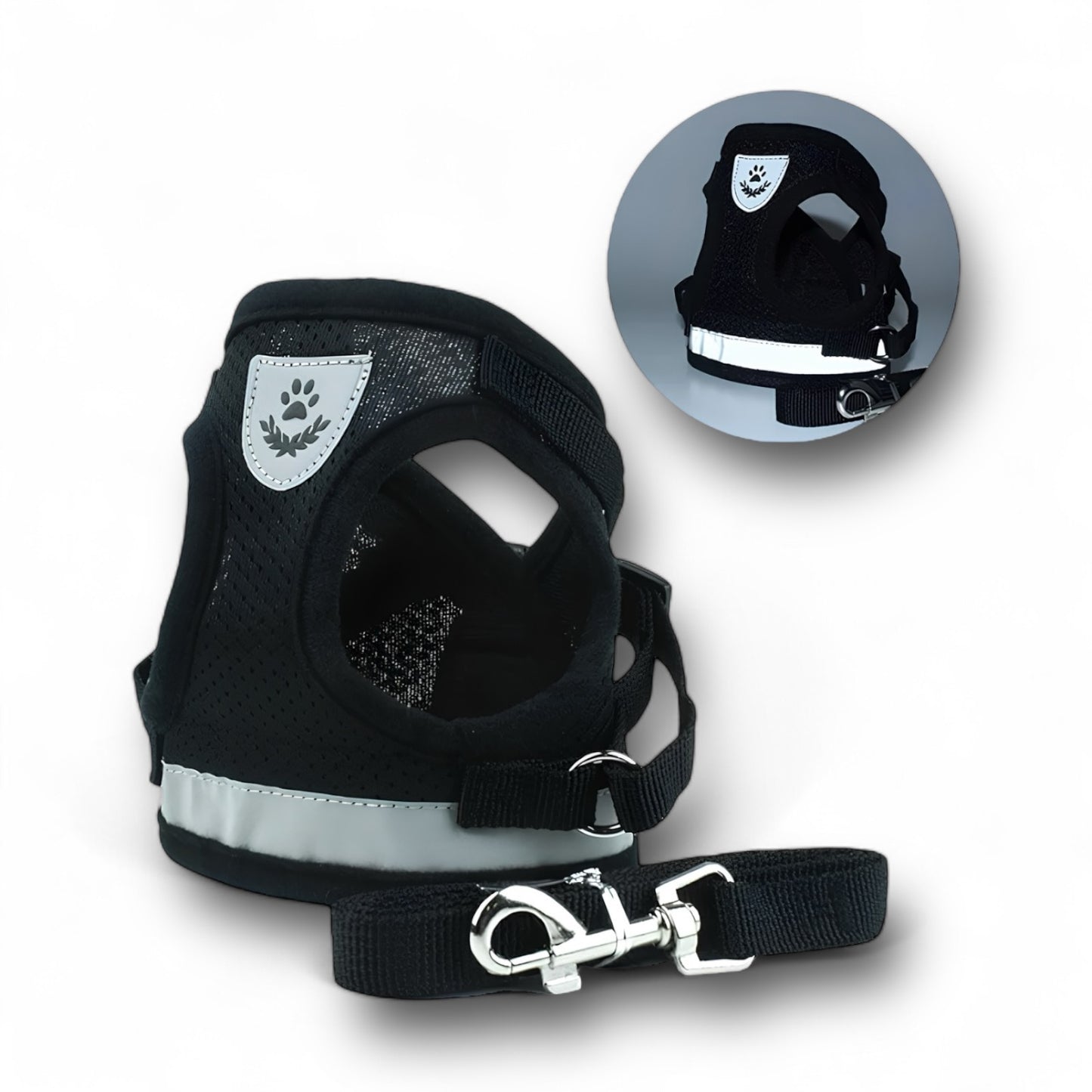 SET IMBRACATURA/GUINZAGLIO (4 Varianti)