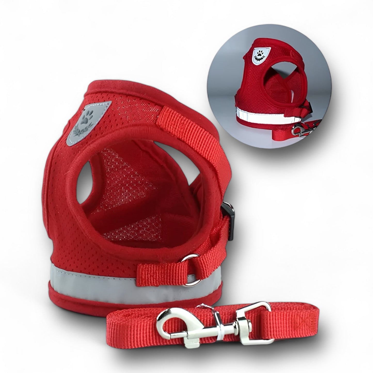SET IMBRACATURA/GUINZAGLIO (4 Varianti)